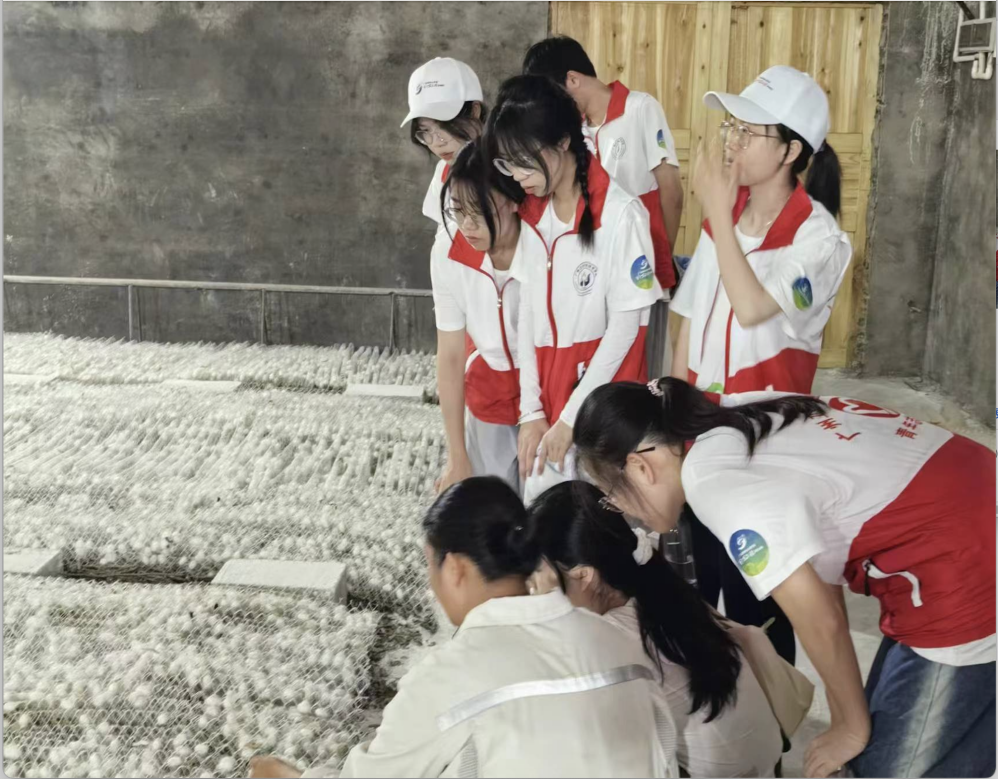 截屏2025-01-25 16.15.34